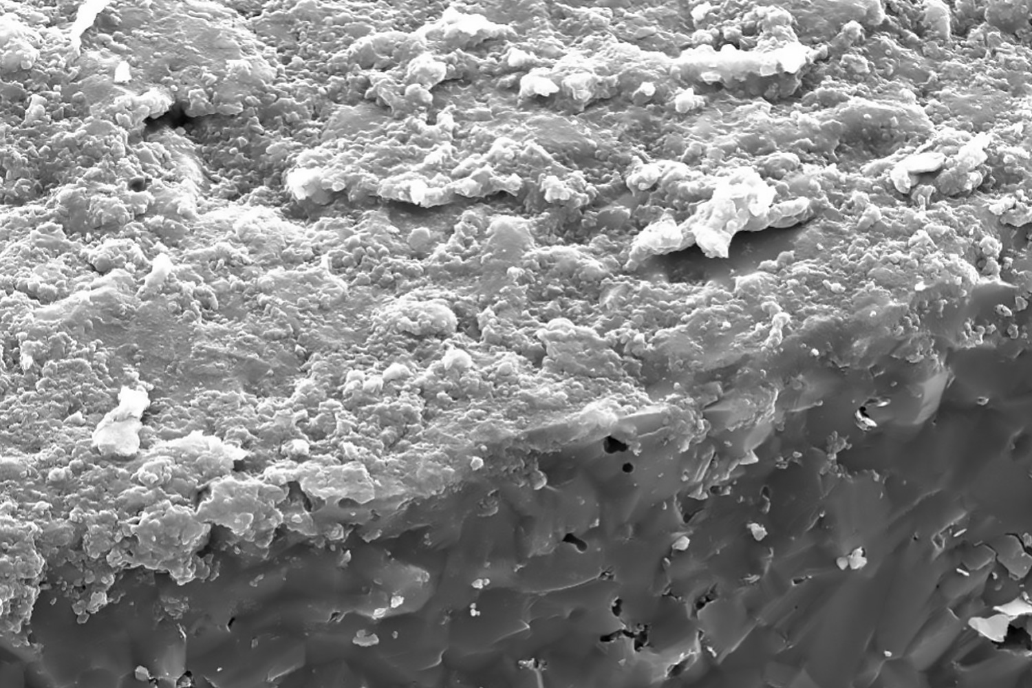 Alumina Coated SiC